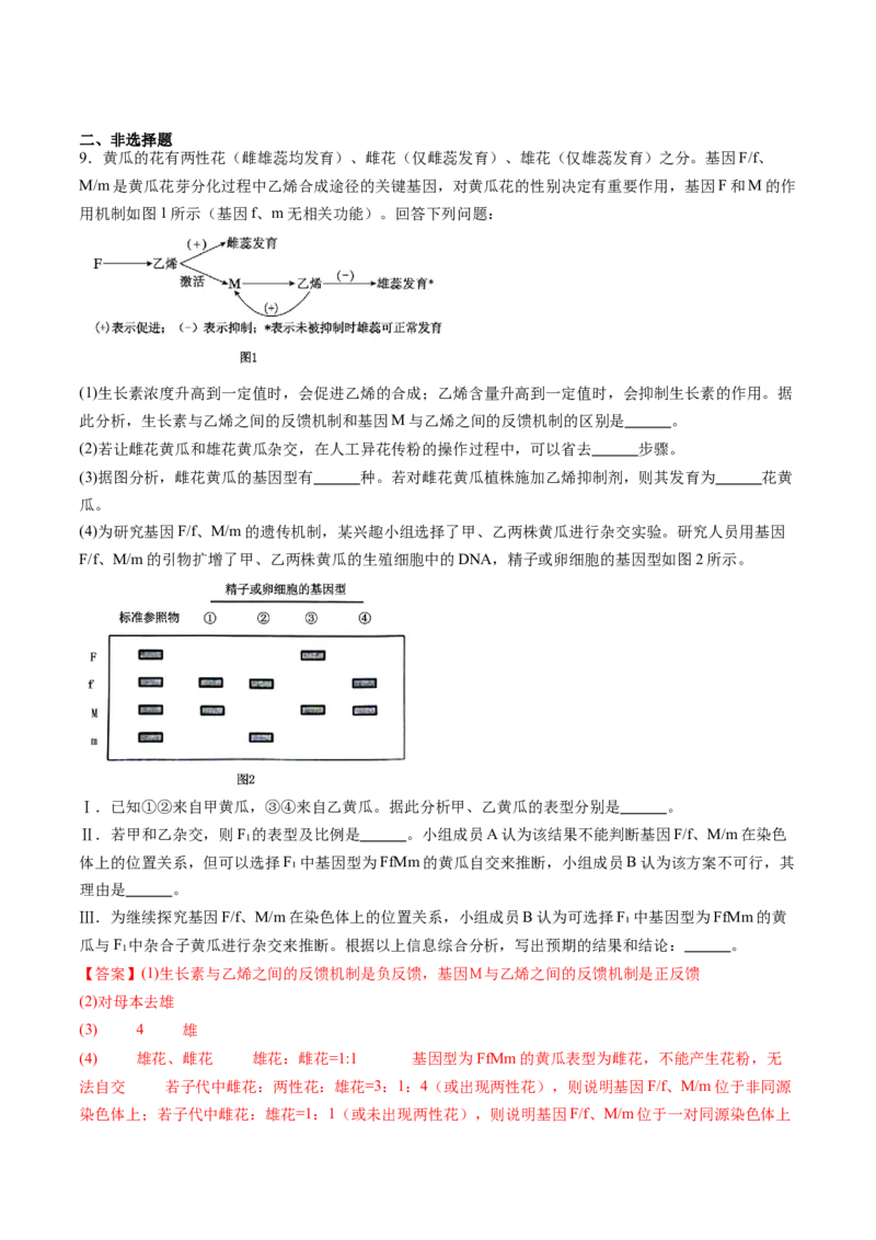 第16讲自由组合定律（第一课时）（练习）（解析版）_2025年新高考资料_一轮复习_2025年高考生物一轮复习讲练测（新教材新高考）
