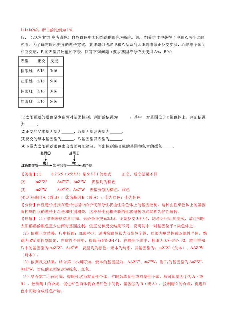 第16讲自由组合定律（第一课时）（练习）（解析版）_2025年新高考资料_一轮复习_2025年高考生物一轮复习讲练测（新教材新高考）
