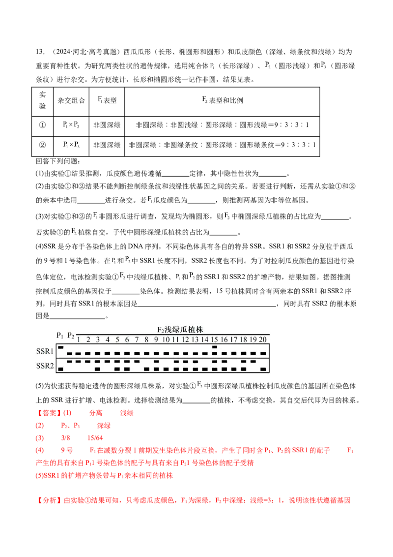 第16讲自由组合定律（第一课时）（练习）（解析版）_2025年新高考资料_一轮复习_2025年高考生物一轮复习讲练测（新教材新高考）
