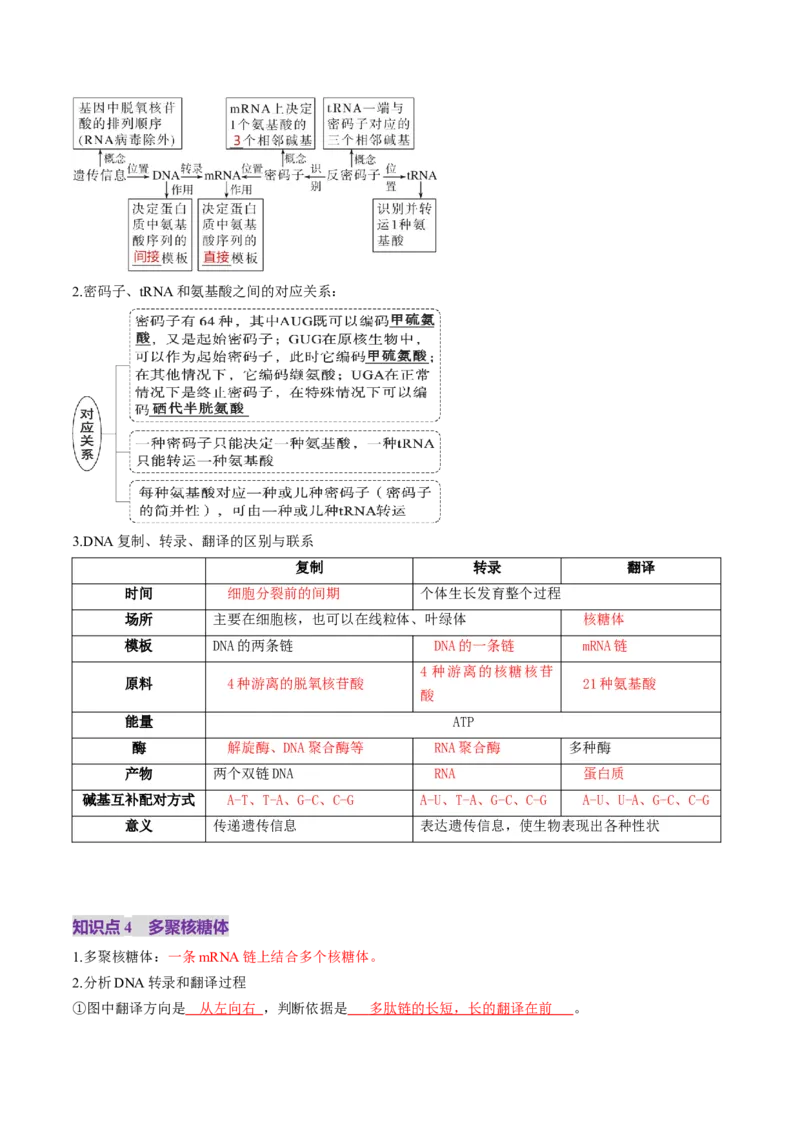 第21讲基因的表达、基因与性状的关系（讲义）（解析版）_2025年新高考资料_一轮复习_2025年高考生物一轮复习讲练测（新教材新高考）