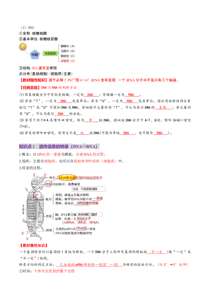 第21讲基因的表达、基因与性状的关系（讲义）（解析版）_2025年新高考资料_一轮复习_2025年高考生物一轮复习讲练测（新教材新高考）