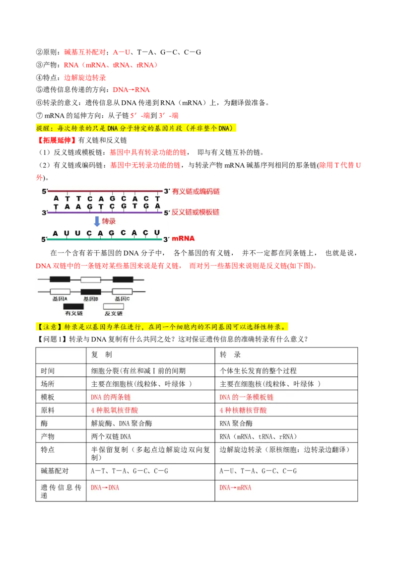 第21讲基因的表达、基因与性状的关系（讲义）（解析版）_2025年新高考资料_一轮复习_2025年高考生物一轮复习讲练测（新教材新高考）