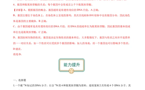 第2讲DNA的结构和复制（解析版）_通用版（老高考）复习资料_2024年复习资料_完备战2024年高考生物一轮复习考点帮（全国通用）_专题七遗传的物质基础