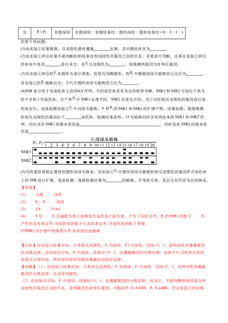 第16讲自由组合定律（第二课时）（讲义）（解析版）_2025年新高考资料_一轮复习_2025年高考生物一轮复习讲练测（新教材新高考）