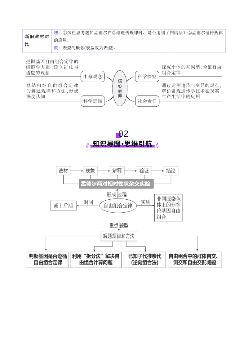 第16讲自由组合定律（第二课时）（讲义）（解析版）_2025年新高考资料_一轮复习_2025年高考生物一轮复习讲练测（新教材新高考）