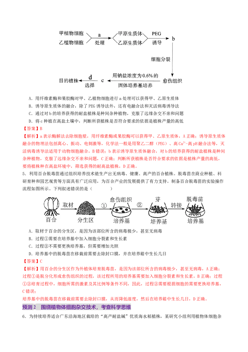 第17讲+细胞工程（讲义）（解析版）_2025年新高考资料_二轮复习_01高考语文等多个文件_上好课2025年高考生物二轮复习讲练测（新高考通用）