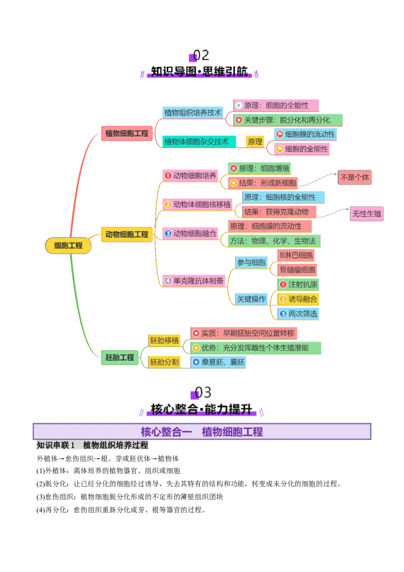 第17讲+细胞工程（讲义）（解析版）_2025年新高考资料_二轮复习_01高考语文等多个文件_上好课2025年高考生物二轮复习讲练测（新高考通用）