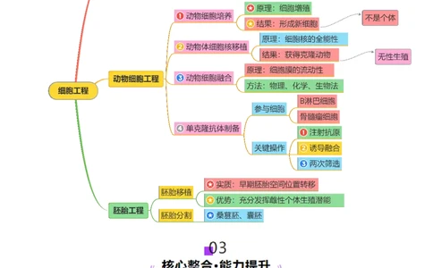 第17讲+细胞工程（讲义）（解析版）_2025年新高考资料_二轮复习_01高考语文等多个文件_上好课2025年高考生物二轮复习讲练测（新高考通用）