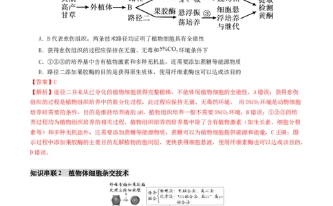 第17讲+细胞工程（讲义）（解析版）_2025年新高考资料_二轮复习_01高考语文等多个文件_上好课2025年高考生物二轮复习讲练测（新高考通用）