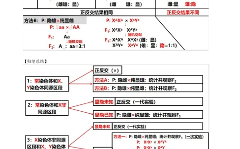 第19讲遗传综合实验分析（讲义）（教师版）_新高考复习资料_2024年新高考复习资料_一轮复习资料_完2024年高考生物一轮复习讲练测(课件+讲义+练习)（新高考）_讲义+练习