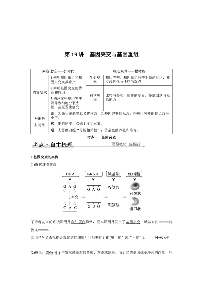 第19讲　基因突变与基因重组_新高考复习资料_2023年新高考复习资料_一轮复习_2023年新高考大一轮复习讲义_2023年高考生物一轮复习讲义（新人教新高考）_赠补充习题