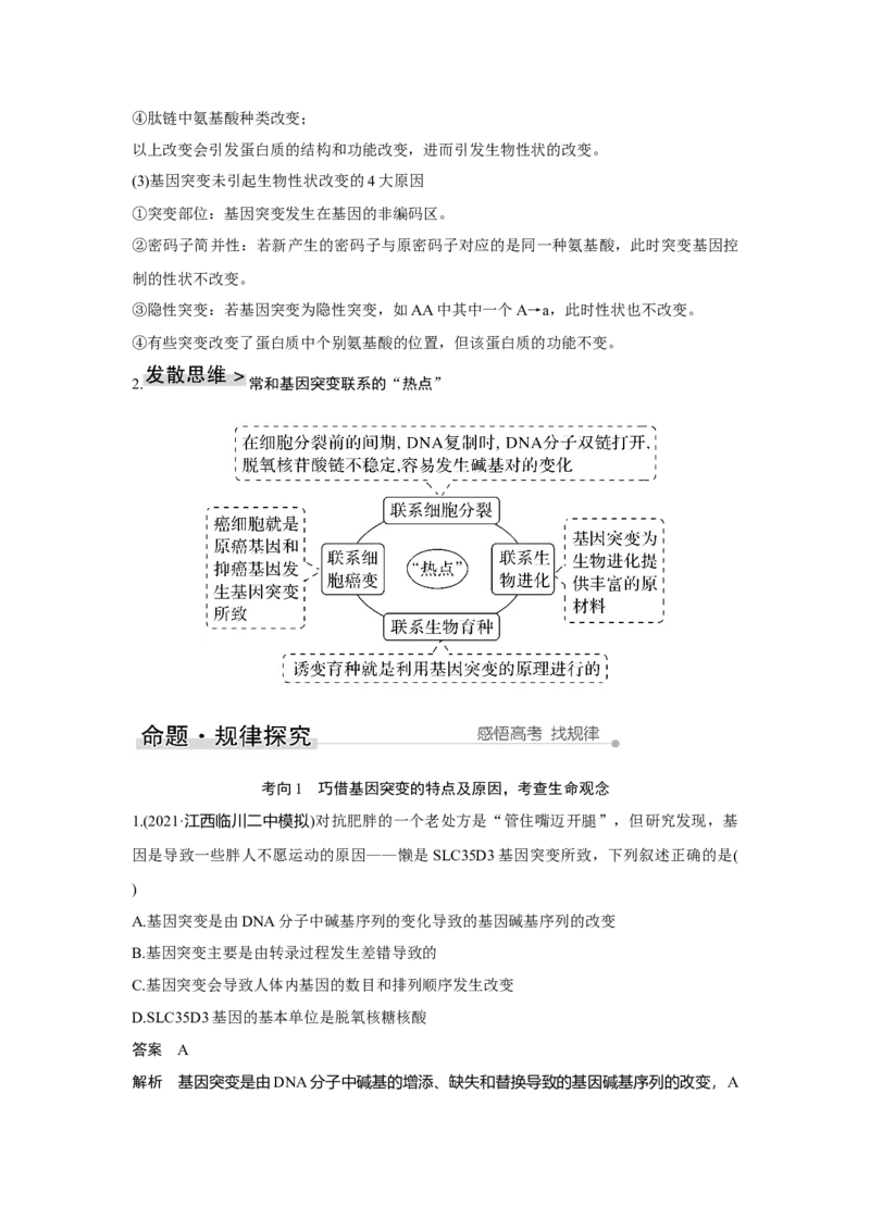 第19讲　基因突变与基因重组_新高考复习资料_2023年新高考复习资料_一轮复习_2023年新高考大一轮复习讲义_2023年高考生物一轮复习讲义（新人教新高考）_赠补充习题