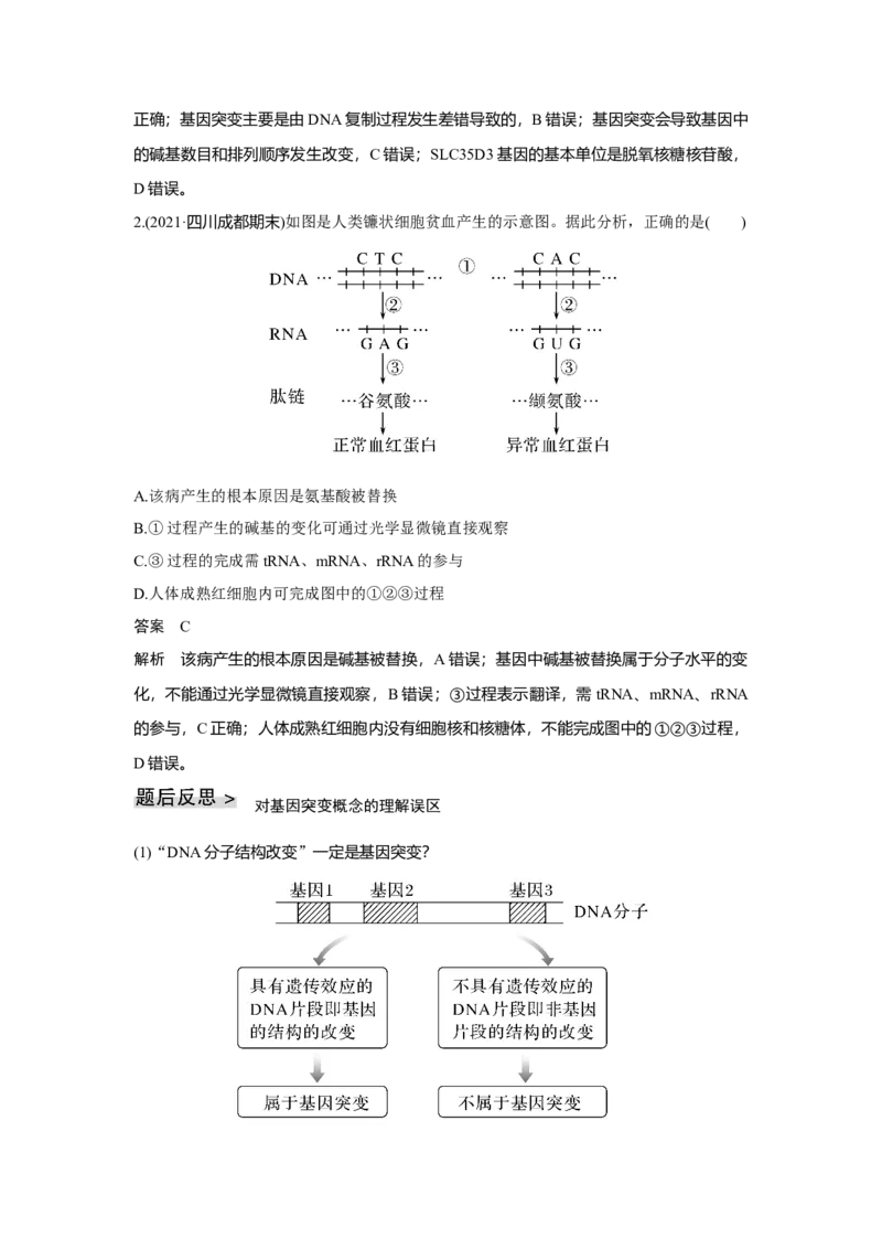 第19讲　基因突变与基因重组_新高考复习资料_2023年新高考复习资料_一轮复习_2023年新高考大一轮复习讲义_2023年高考生物一轮复习讲义（新人教新高考）_赠补充习题