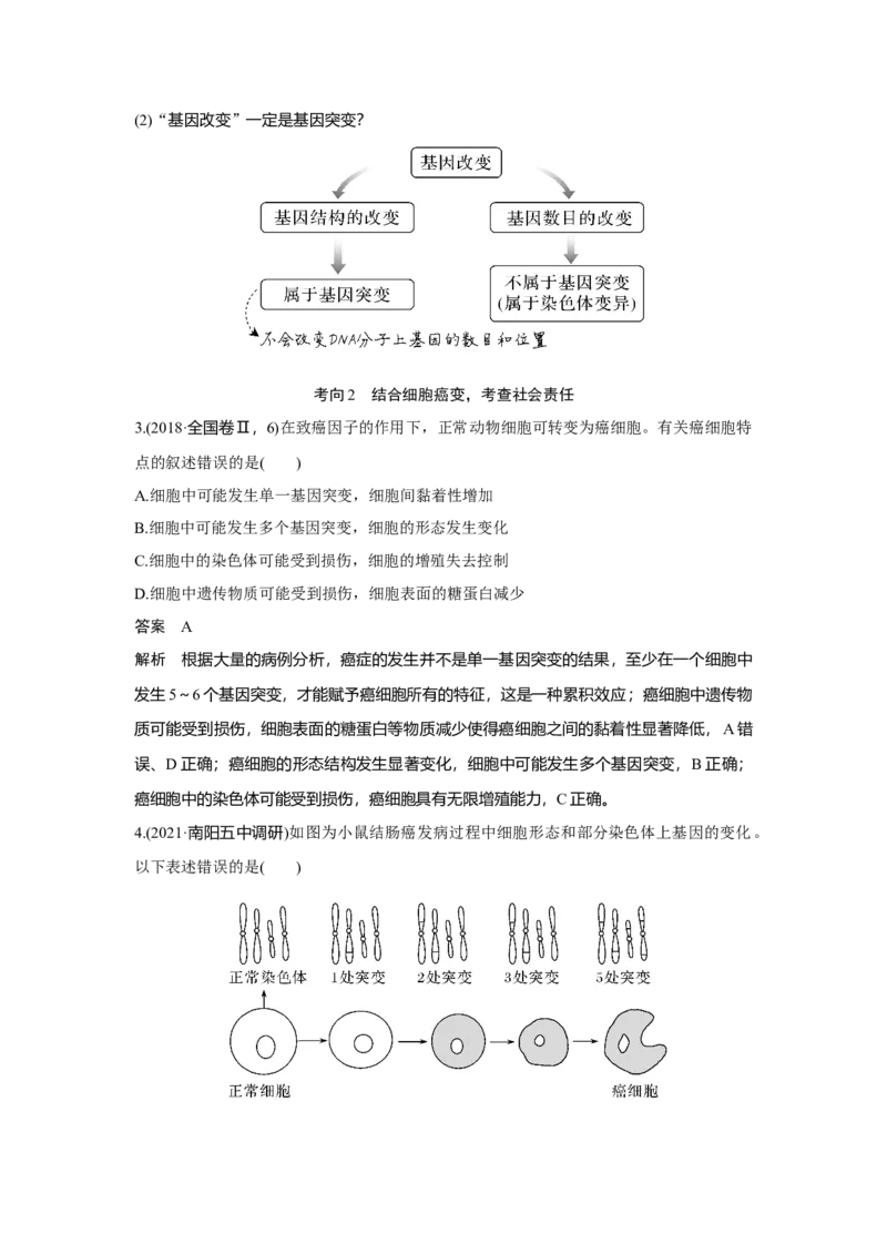 第19讲　基因突变与基因重组_新高考复习资料_2023年新高考复习资料_一轮复习_2023年新高考大一轮复习讲义_2023年高考生物一轮复习讲义（新人教新高考）_赠补充习题