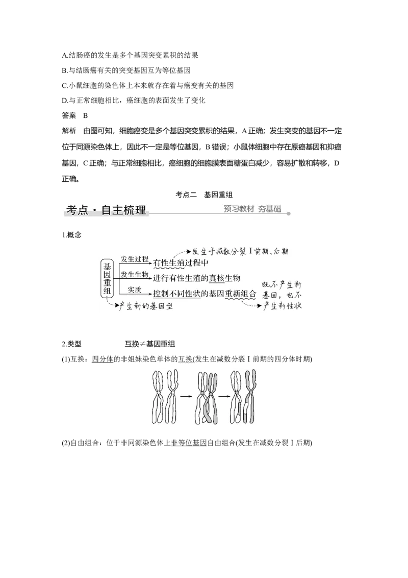 第19讲　基因突变与基因重组_新高考复习资料_2023年新高考复习资料_一轮复习_2023年新高考大一轮复习讲义_2023年高考生物一轮复习讲义（新人教新高考）_赠补充习题