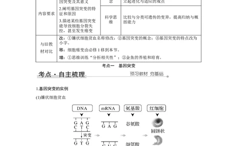 第19讲　基因突变与基因重组_新高考复习资料_2023年新高考复习资料_一轮复习_2023年新高考大一轮复习讲义_2023年高考生物一轮复习讲义（新人教新高考）_赠补充习题
