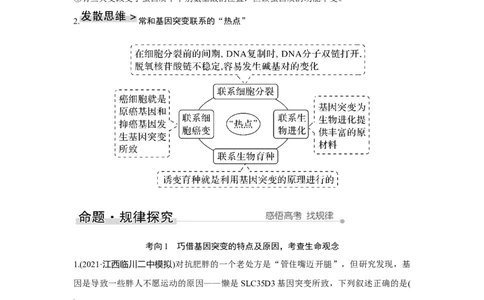 第19讲　基因突变与基因重组_新高考复习资料_2023年新高考复习资料_一轮复习_2023年新高考大一轮复习讲义_2023年高考生物一轮复习讲义（新人教新高考）_赠补充习题