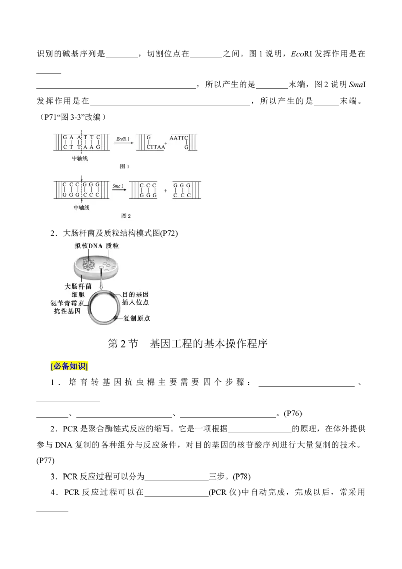 第3章基因工程、第4章生物技术的安全性与伦理问题（填空版）_2025年新高考资料_专项复习_晨读晚默备战2025年高考生物必背知识清单