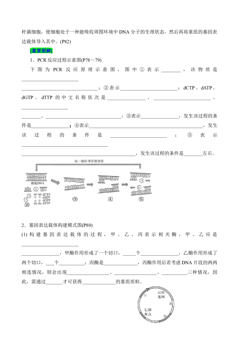 第3章基因工程、第4章生物技术的安全性与伦理问题（填空版）_2025年新高考资料_专项复习_晨读晚默备战2025年高考生物必背知识清单