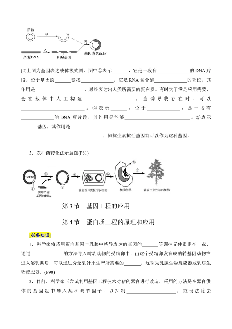 第3章基因工程、第4章生物技术的安全性与伦理问题（填空版）_2025年新高考资料_专项复习_晨读晚默备战2025年高考生物必背知识清单