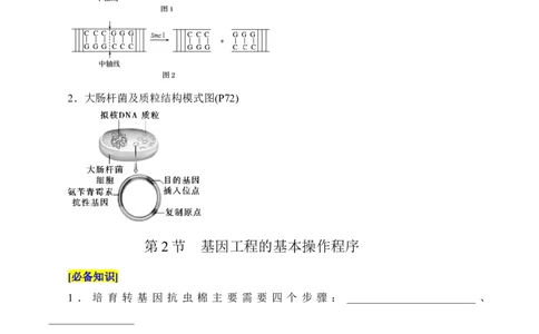 第3章基因工程、第4章生物技术的安全性与伦理问题（填空版）_2025年新高考资料_专项复习_晨读晚默备战2025年高考生物必背知识清单