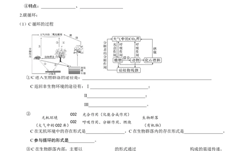 第47讲生态系统的物质循环和信息传递（知识清单）_新高考复习资料_2025年新高考资料_备战2025年高考生物一轮复习课件+知识清单