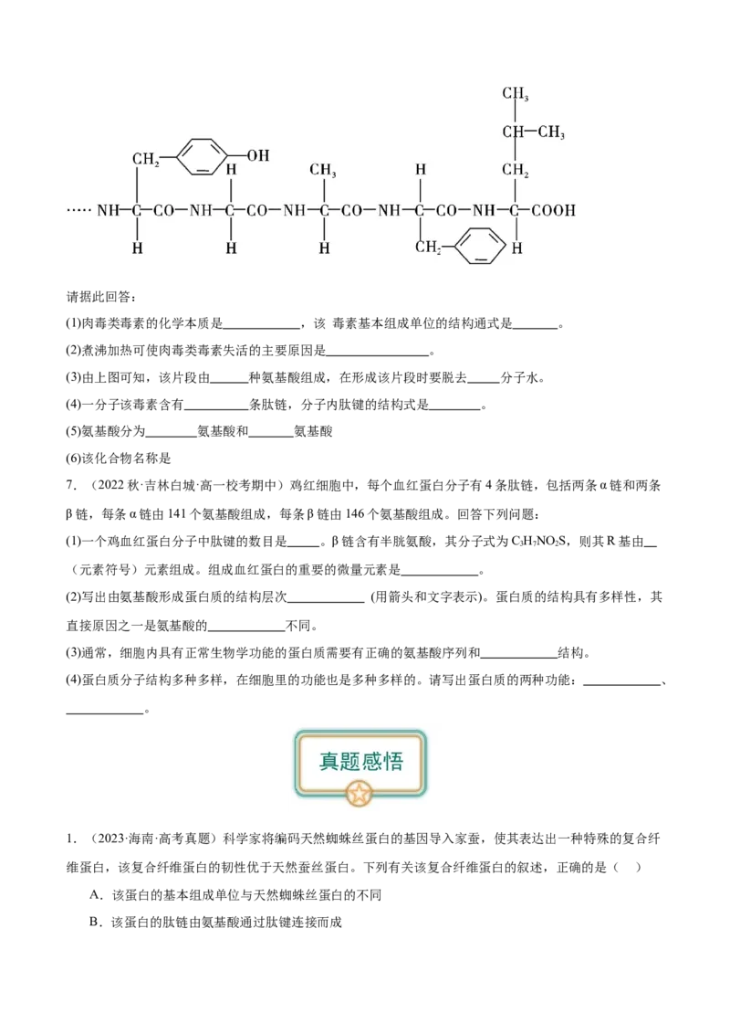 第3讲细胞中的蛋白质（原卷版）_通用版（老高考）复习资料_2024年复习资料_完备战2024年高考生物一轮复习考点帮（全国通用）_专题二细胞的物质基础