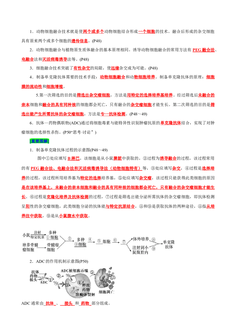 第2章细胞工程（背诵版）_2025年新高考资料_专项复习_晨读晚默备战2025年高考生物必背知识清单_第2章细胞工程-晨读晚默备战2025年高考生物必背知识清单
