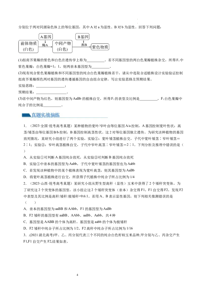 第17.1讲基因的自由组合定律（练习）（原卷版）_新高考复习资料_2024年新高考复习资料_一轮复习资料_完2024年高考生物一轮复习讲练测(课件+讲义+练习)（新高考）_讲义+练习