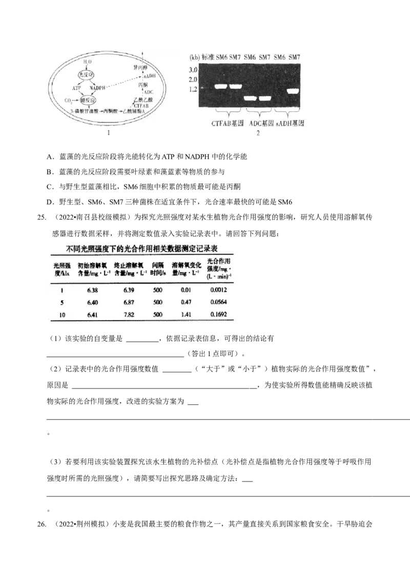 第4讲光合作用和细胞呼吸（检测）（原卷版）_新高考复习资料_2023年新高考复习资料_二轮复习_2023年高考生物二轮复习讲练测（新教材专用）