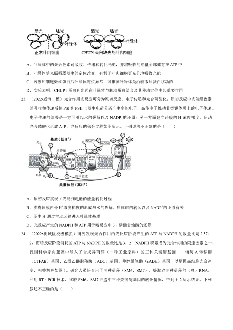 第4讲光合作用和细胞呼吸（检测）（原卷版）_新高考复习资料_2023年新高考复习资料_二轮复习_2023年高考生物二轮复习讲练测（新教材专用）