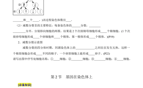 第2章基因和染色体的关系（填空版）_2025年新高考资料_专项复习_晨读晚默备战2025年高考生物必背知识清单_第2章基因和染色体的关系-晨读晚默备战2025年高考生物必背知识清单