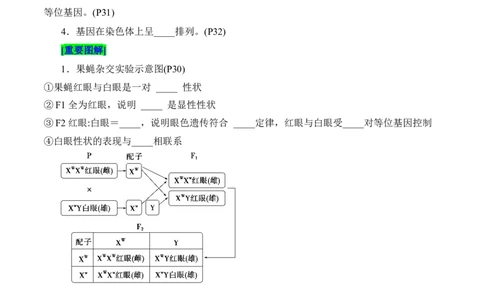 第2章基因和染色体的关系（填空版）_2025年新高考资料_专项复习_晨读晚默备战2025年高考生物必背知识清单_第2章基因和染色体的关系-晨读晚默备战2025年高考生物必背知识清单