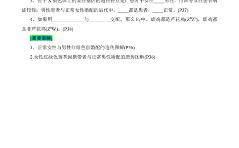 第2章基因和染色体的关系（填空版）_2025年新高考资料_专项复习_晨读晚默备战2025年高考生物必背知识清单_第2章基因和染色体的关系-晨读晚默备战2025年高考生物必背知识清单