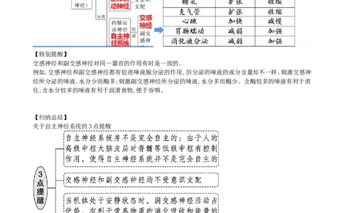 第26.1讲神经调节的结构基础、基本方式、分级调节、高级功能（讲义）（教师版）_新高考复习资料_2024年新高考复习资料_一轮复习资料_讲义+练习