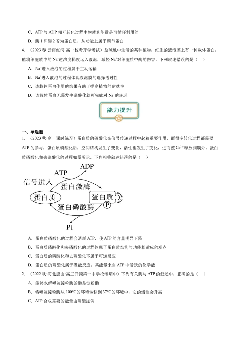 第2讲细胞的能量通货-ATP（原卷版）_通用版（老高考）复习资料_2024年复习资料_完备战2024年高考生物一轮复习考点帮（全国通用）_专题四细胞的能量供应和利用