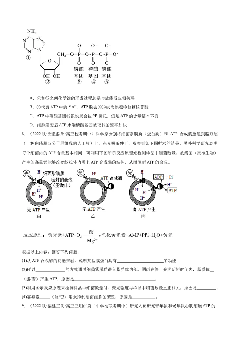 第2讲细胞的能量通货-ATP（原卷版）_通用版（老高考）复习资料_2024年复习资料_完备战2024年高考生物一轮复习考点帮（全国通用）_专题四细胞的能量供应和利用