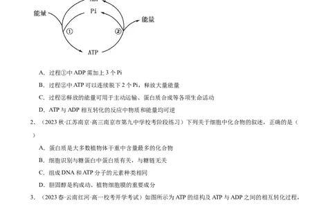 第2讲细胞的能量通货-ATP（原卷版）_通用版（老高考）复习资料_2024年复习资料_完备战2024年高考生物一轮复习考点帮（全国通用）_专题四细胞的能量供应和利用