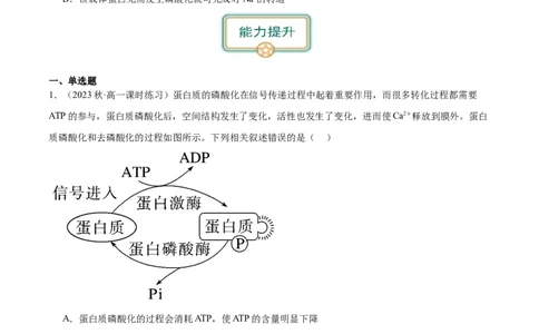 第2讲细胞的能量通货-ATP（原卷版）_通用版（老高考）复习资料_2024年复习资料_完备战2024年高考生物一轮复习考点帮（全国通用）_专题四细胞的能量供应和利用
