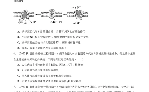 第2讲细胞的能量通货-ATP（原卷版）_通用版（老高考）复习资料_2024年复习资料_完备战2024年高考生物一轮复习考点帮（全国通用）_专题四细胞的能量供应和利用