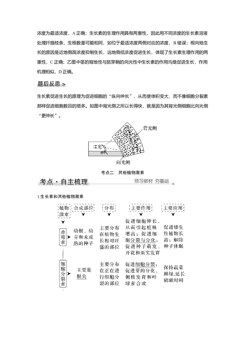 第26讲　植物生命活动的调节_新高考复习资料_2023年新高考复习资料_一轮复习_2023年新高考大一轮复习讲义_2023年高考生物一轮复习讲义（新人教新高考）_赠补充习题