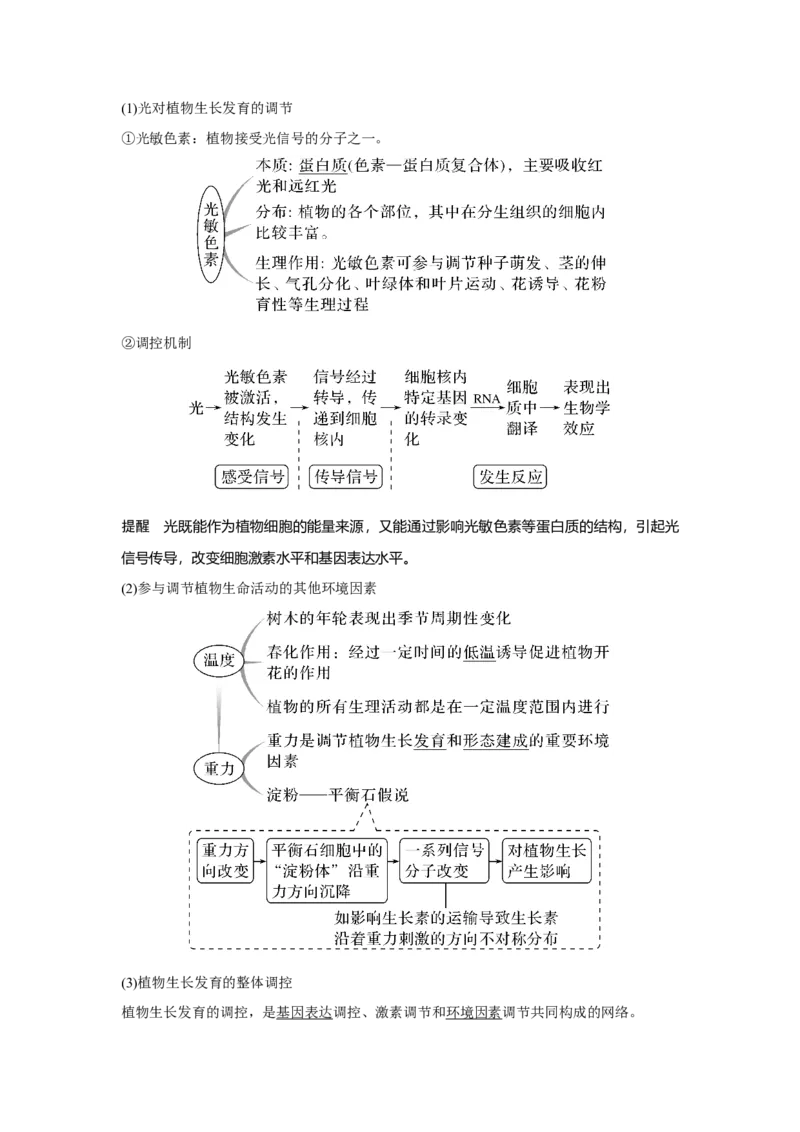第26讲　植物生命活动的调节_新高考复习资料_2023年新高考复习资料_一轮复习_2023年新高考大一轮复习讲义_2023年高考生物一轮复习讲义（新人教新高考）_赠补充习题