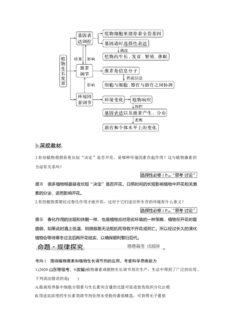 第26讲　植物生命活动的调节_新高考复习资料_2023年新高考复习资料_一轮复习_2023年新高考大一轮复习讲义_2023年高考生物一轮复习讲义（新人教新高考）_赠补充习题