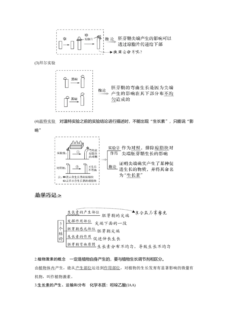 第26讲　植物生命活动的调节_新高考复习资料_2023年新高考复习资料_一轮复习_2023年新高考大一轮复习讲义_2023年高考生物一轮复习讲义（新人教新高考）_赠补充习题