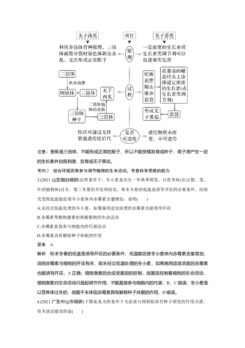 第26讲　植物生命活动的调节_新高考复习资料_2023年新高考复习资料_一轮复习_2023年新高考大一轮复习讲义_2023年高考生物一轮复习讲义（新人教新高考）_赠补充习题
