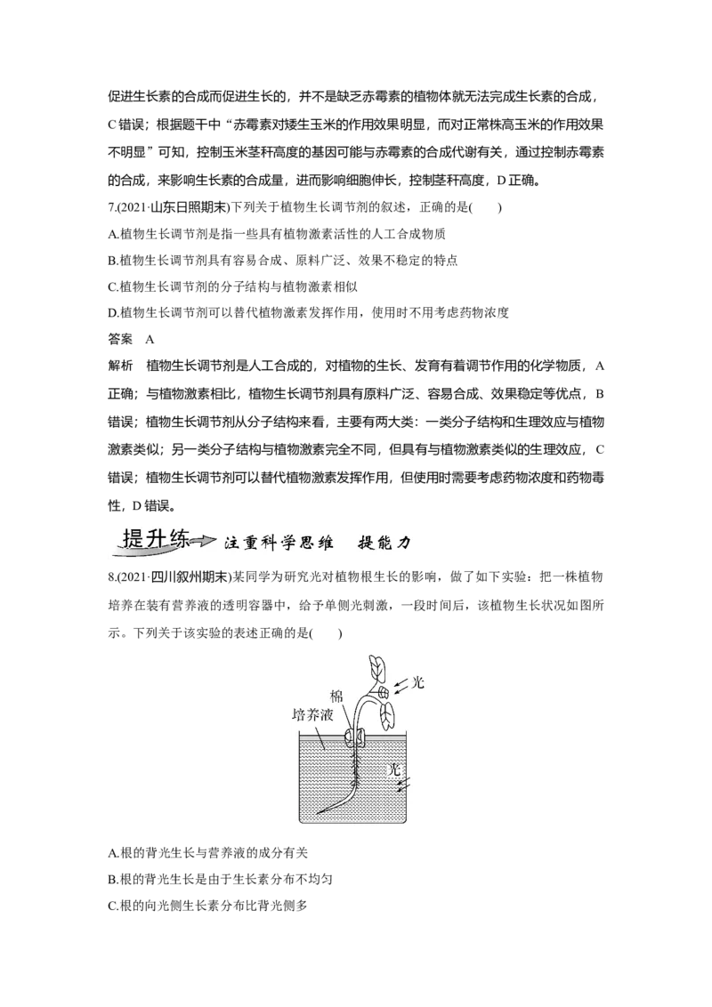 第26讲　植物生命活动的调节_新高考复习资料_2023年新高考复习资料_一轮复习_2023年新高考大一轮复习讲义_2023年高考生物一轮复习讲义（新人教新高考）_赠补充习题