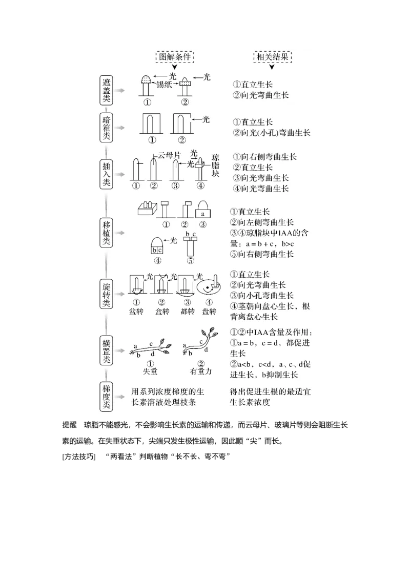 第26讲　植物生命活动的调节_新高考复习资料_2023年新高考复习资料_一轮复习_2023年新高考大一轮复习讲义_2023年高考生物一轮复习讲义（新人教新高考）_赠补充习题