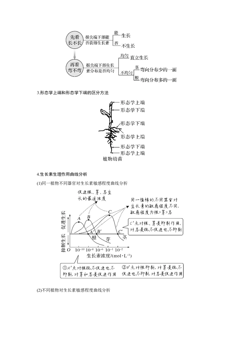第26讲　植物生命活动的调节_新高考复习资料_2023年新高考复习资料_一轮复习_2023年新高考大一轮复习讲义_2023年高考生物一轮复习讲义（新人教新高考）_赠补充习题