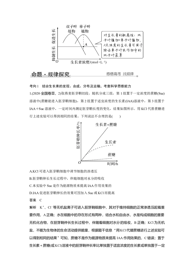 第26讲　植物生命活动的调节_新高考复习资料_2023年新高考复习资料_一轮复习_2023年新高考大一轮复习讲义_2023年高考生物一轮复习讲义（新人教新高考）_赠补充习题