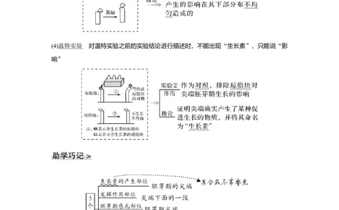 第26讲　植物生命活动的调节_新高考复习资料_2023年新高考复习资料_一轮复习_2023年新高考大一轮复习讲义_2023年高考生物一轮复习讲义（新人教新高考）_赠补充习题